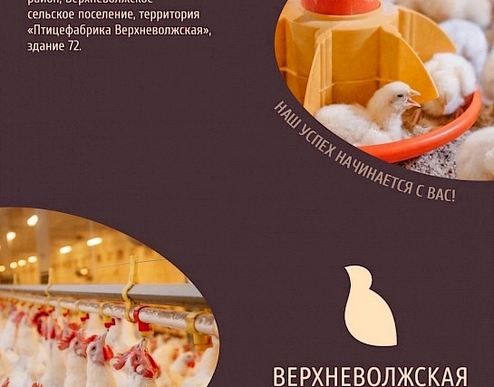 Верхневолжская птицефабрика расширяет штат сотрудников