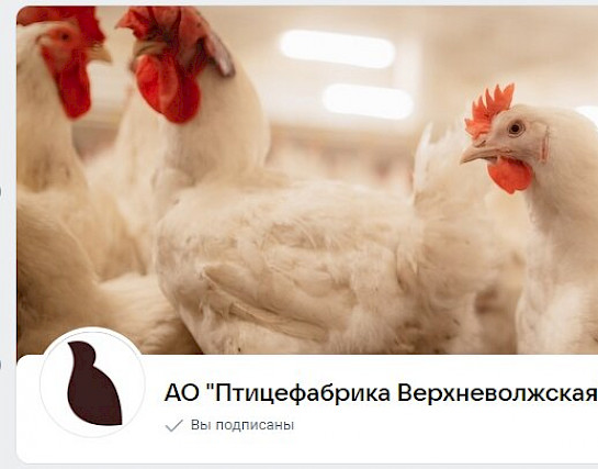 Мы есть "Вконтакте"