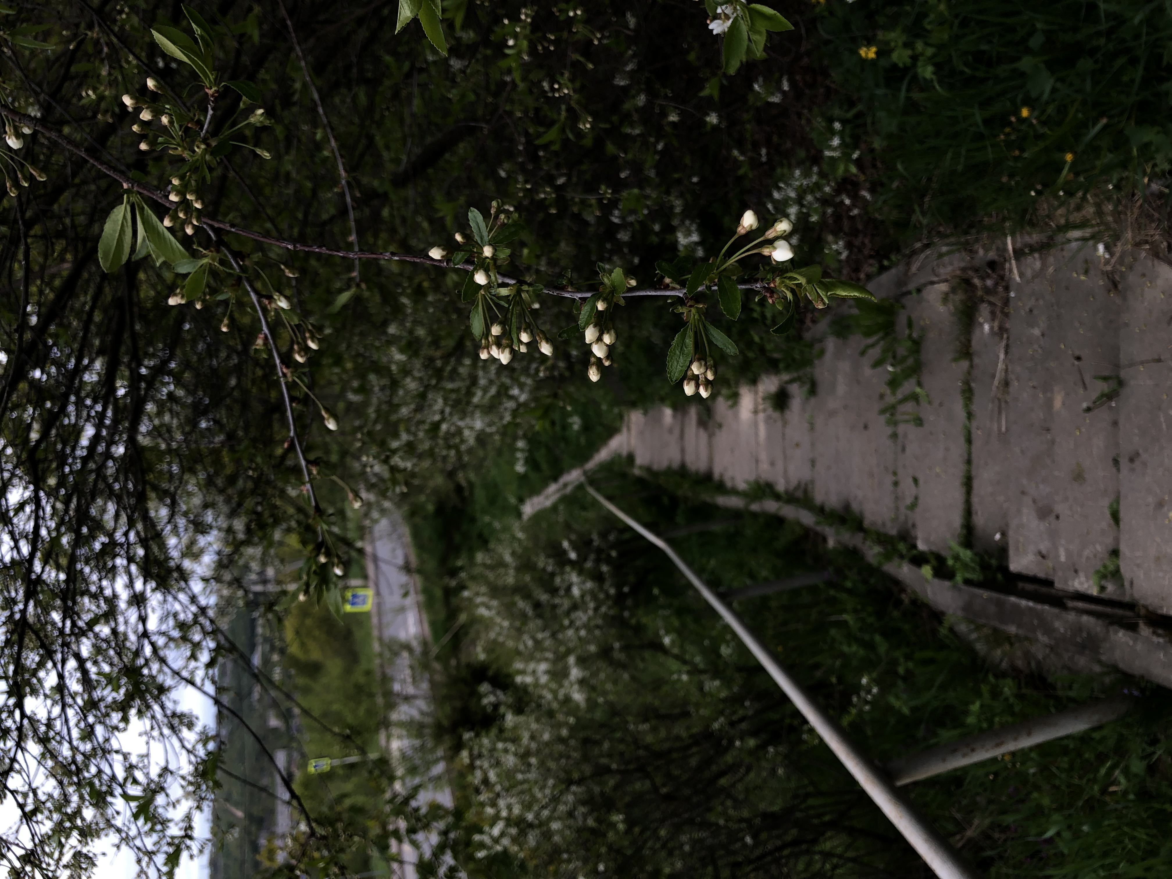 image-1.jpg