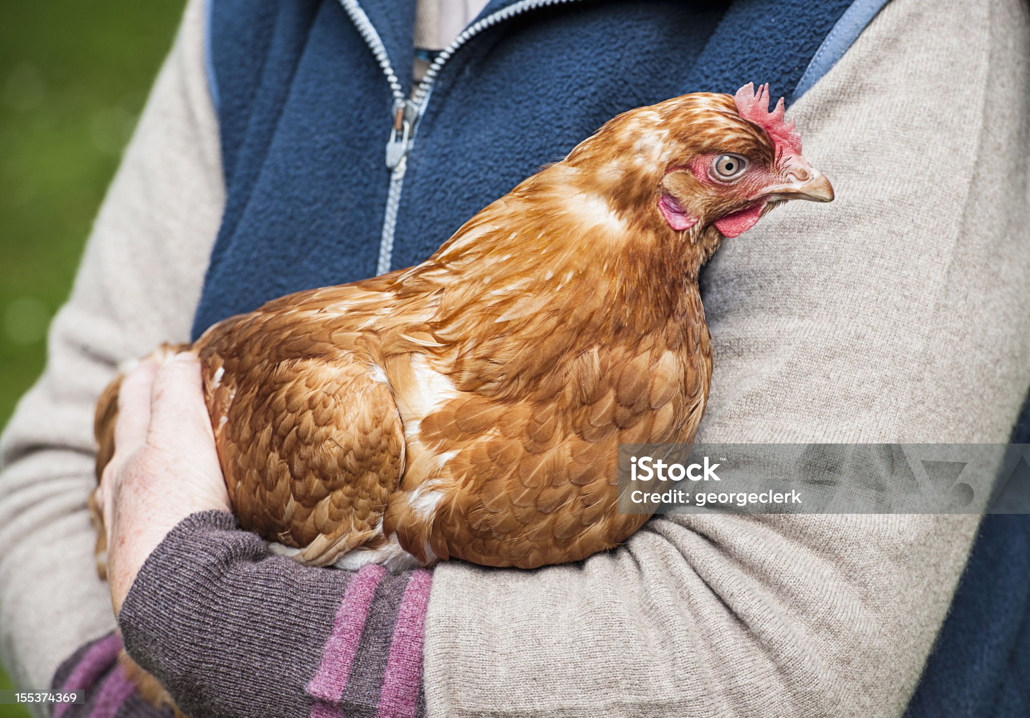 image.jpg