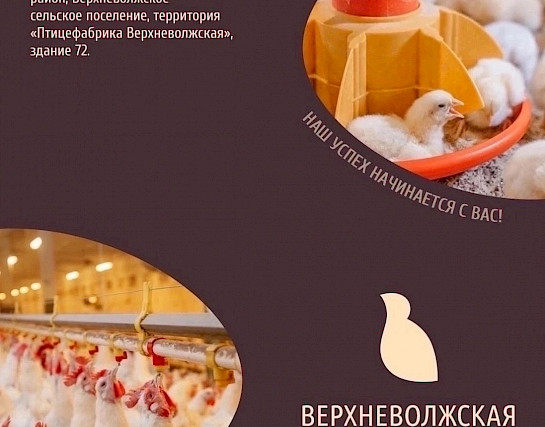 Приглашаем на работу.